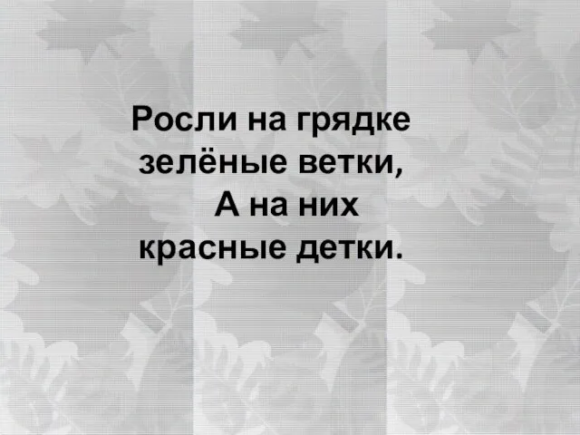 Росли на грядке зелёные ветки, А на них красные детки.