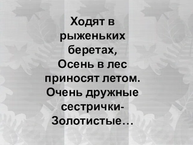 Ходят в рыженьких беретах, Осень в лес приносят летом. Очень дружные сестрички- Золотистые…