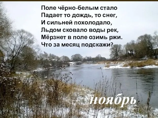 ноябрь Поле чёрно-белым стало Падает то дождь, то снег, И сильней