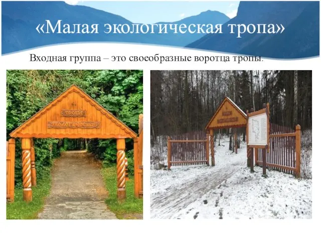 «Малая экологическая тропа» Входная группа – это своеобразные воротца тропы.