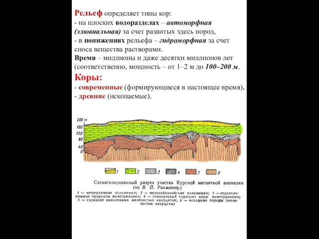 Рельеф определяет типы кор: - на плоских водоразделах – автоморфная (элювиальная)