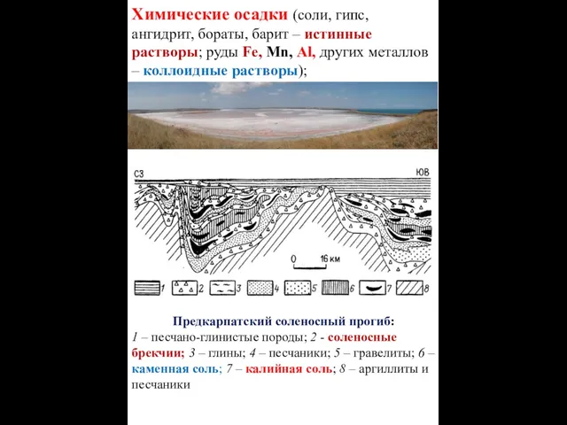 Предкарпатский соленосный прогиб: 1 – песчано-глинистые породы; 2 - соленосные брекчии;