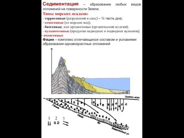 Седиментация – образование любых видов отложений на поверхности Земли. Типы морских