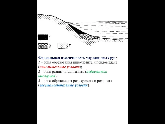 Фациальная изменчивость марганцевых руд: 1 – зона образования пиролюзита и псиломелана