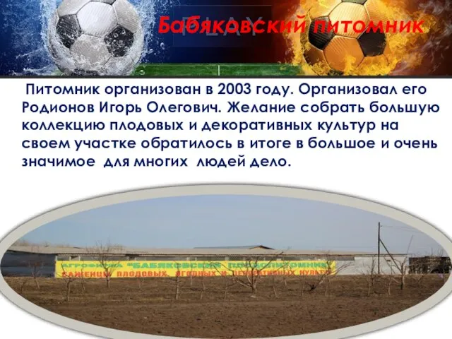 Бабяковский питомник Питомник организован в 2003 году. Организовал его Родионов Игорь