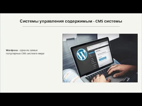 Системы управления содержимым - CMS системы Wordpress - одна из самых популярных CMS систем в мире