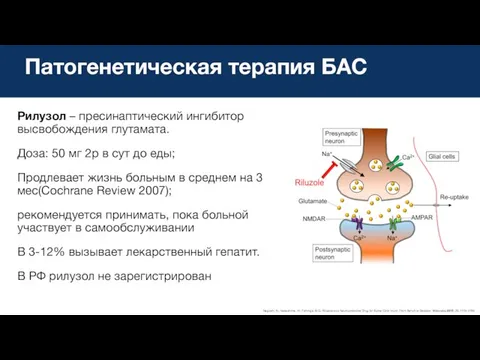 Патогенетическая терапия БАС Nagoshi, N.; Nakashima, H.; Fehlings, M.G. Riluzole as