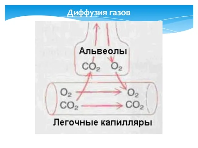 Диффузия газов