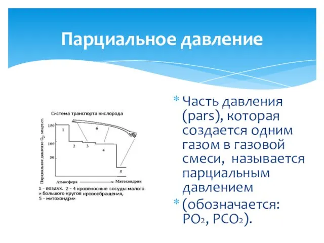 Парциальное давление Часть давления (pars), которая создается одним газом в газовой