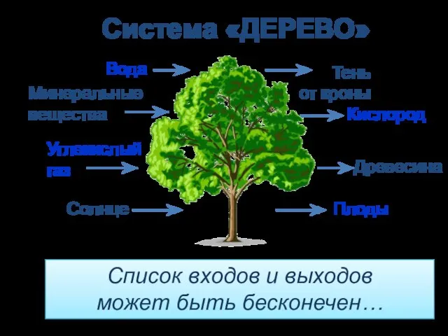 Система «ДЕРЕВО» Список входов и выходов может быть бесконечен…