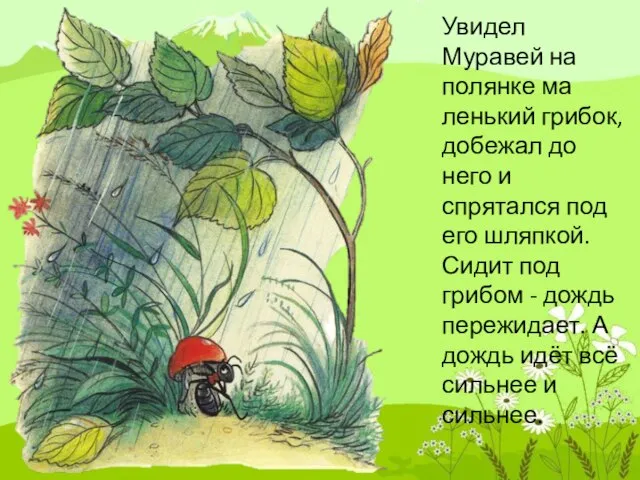 Увидел Муравей на полянке ма­ленький грибок, добежал до него и спрятался