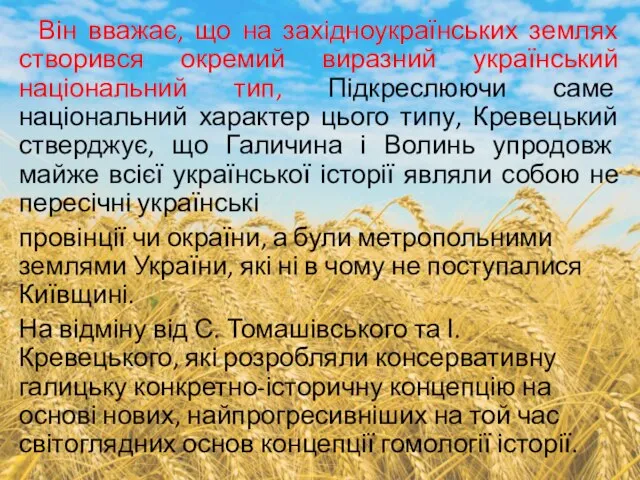 Він вважає, що на західноукраїнських землях створився окремий виразний український національний