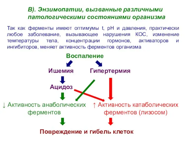 В). Энзимопатии, вызванные различными патологическими состояниями организма Так как ферменты имеют