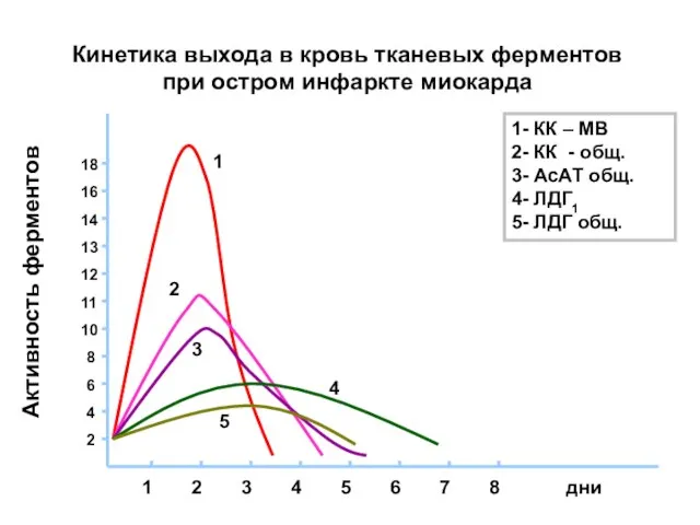 Кинетика выхода в кровь тканевых ферментов при остром инфаркте миокарда Активность