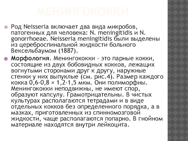 МЕНИНГОКОККИ Род Neisseria включает два вида микробов, патогенных для человека: N.