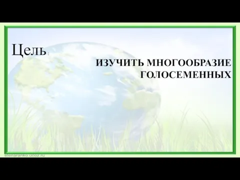 ИЗУЧИТЬ МНОГООБРАЗИЕ ГОЛОСЕМЕННЫХ Цель :