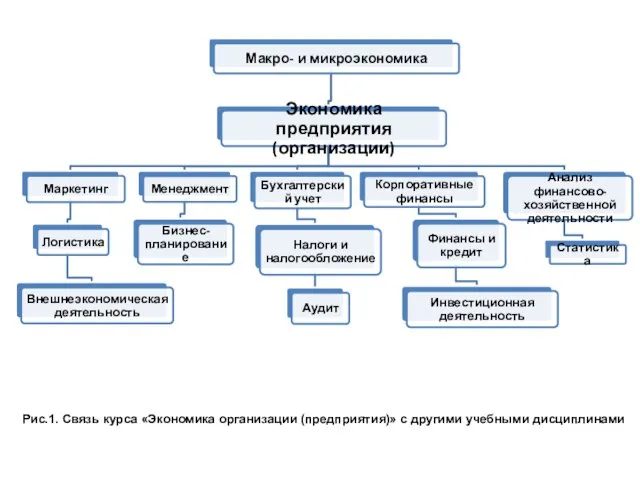 Рис.1. Связь курса «Экономика организации (предприятия)» с другими учебными дисциплинами