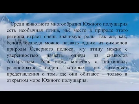 Среди животного многообразия Южного полушария есть необычная птица, чьё место в