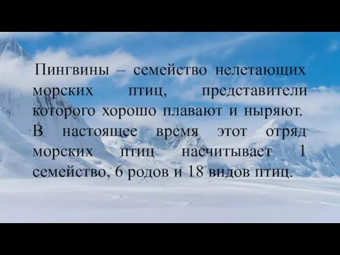 Пингвины – семейство нелетающих морских птиц, представители которого хорошо плавают и