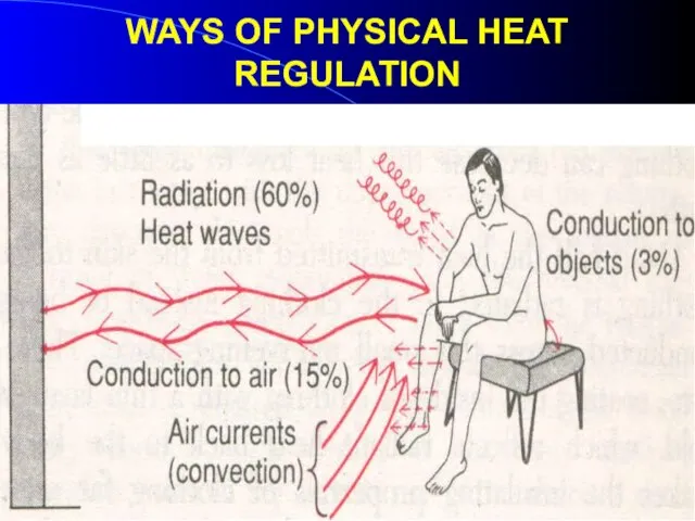 WAYS OF PHYSICAL HEAT REGULATION