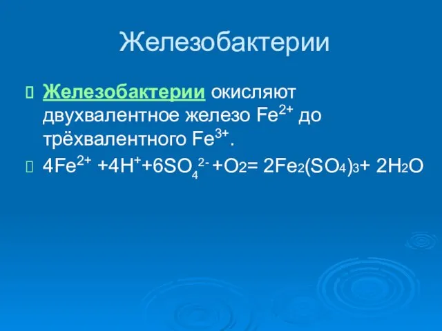 Железобактерии Железобактерии окисляют двухвалентное железо Fe2+ до трёхвалентного Fe3+. 4Fe2+ +4H++6SO42- +O2= 2Fe2(SO4)3+ 2H2O