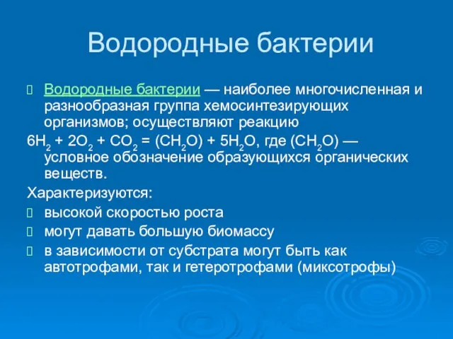 Водородные бактерии Водородные бактерии — наиболее многочисленная и разнообразная группа хемосинтезирующих