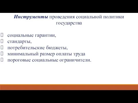 Инструменты проведения социальной политики государства социальные гарантии, стандарты, потребительские бюджеты, минимальный