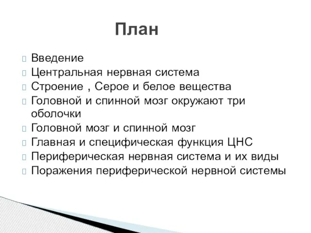 План Введение Центральная нервная система Строение , Серое и белое вещества