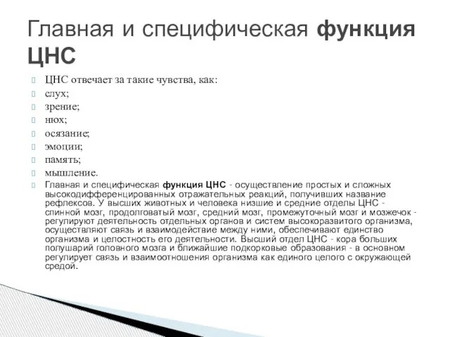 ЦНС отвечает за такие чувства, как: слух; зрение; нюх; осязание; эмоции;