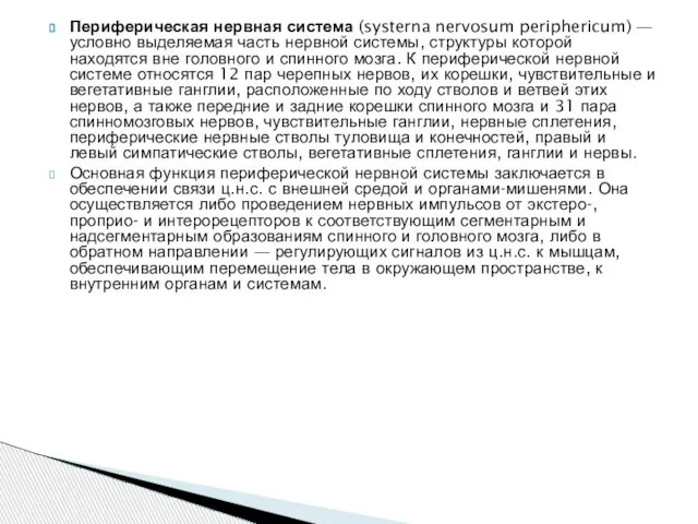 Периферическая нервная система (systerna nervosum periphericum) — условно выделяемая часть нервной