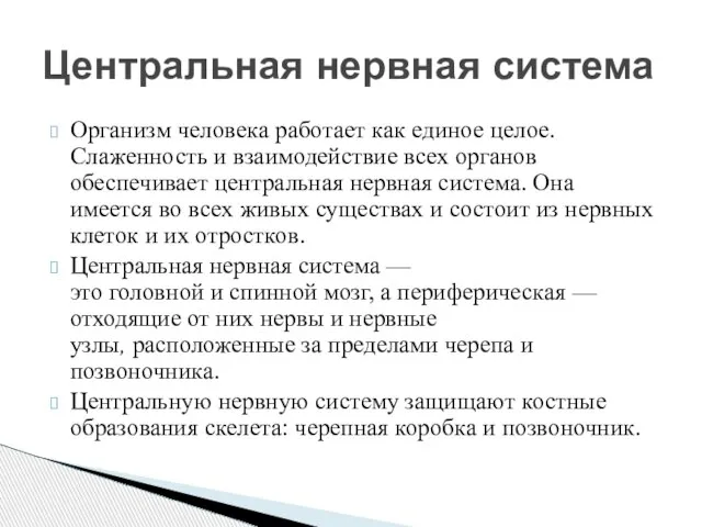 Организм человека работает как единое целое. Слаженность и взаимодействие всех органов