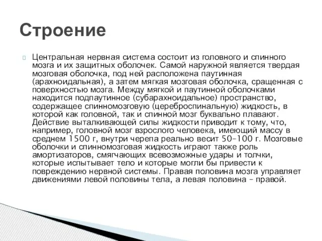 Центральная нервная система состоит из головного и спинного мозга и их