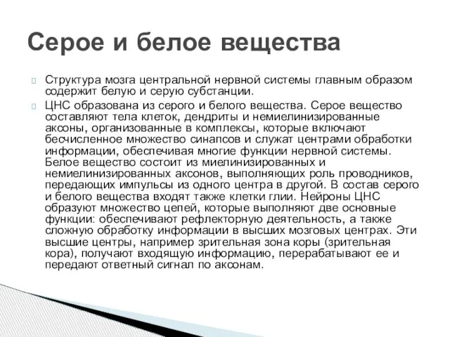 Структура мозга центральной нервной системы главным образом содержит белую и серую