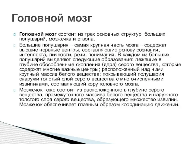 Головной мозг состоит из трех основных структур: больших полушарий, мозжечка и