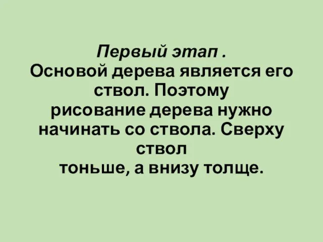 Первый этап . Основой дерева является его ствол. Поэтому рисование дерева