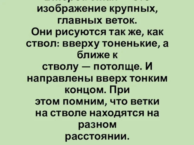 Второй этап — это изображение крупных, главных веток. Они рисуются так