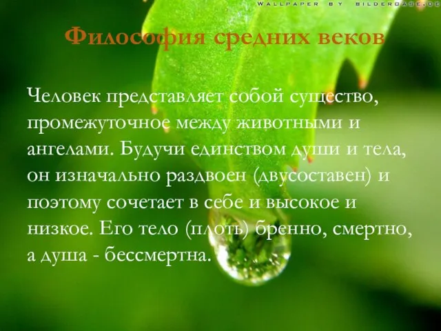 Философия средних веков Человек представляет собой существо, промежуточное между животными и