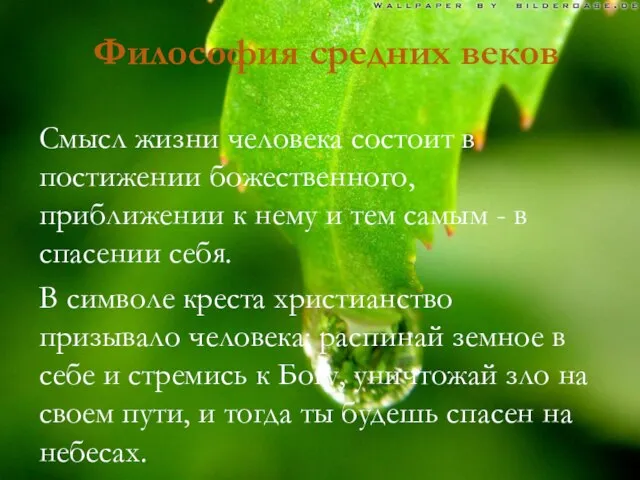 Философия средних веков Смысл жизни человека состоит в постижении божественного, приближении