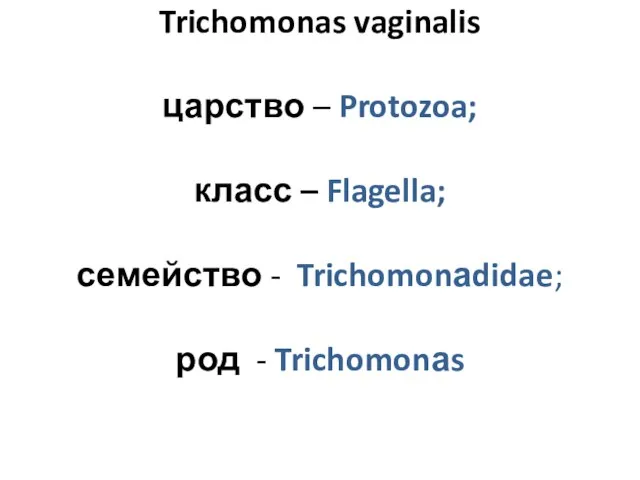 Trichomonas vaginalis царство – Protozoa; класс – Flagella; семейство - Trichomonаdidae; род - Trichomonаs
