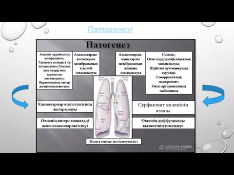 Патогенезі .