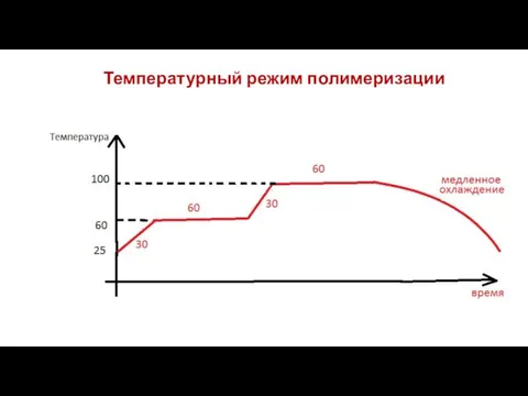 Температурный режим полимеризации