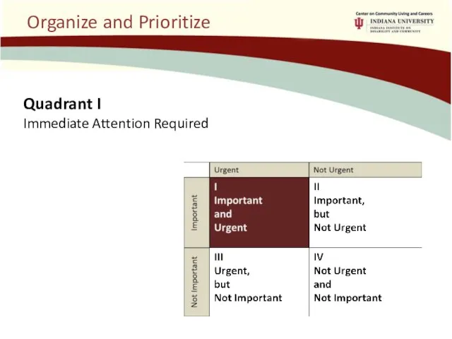 Organize and Prioritize Quadrant I Immediate Attention Required