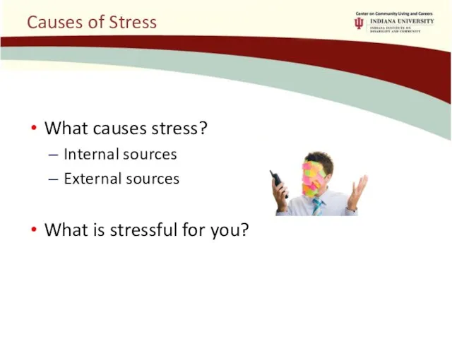 Causes of Stress What causes stress? Internal sources External sources What is stressful for you?