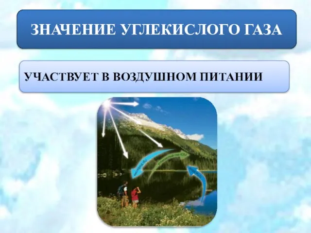 ЗНАЧЕНИЕ УГЛЕКИСЛОГО ГАЗА УЧАСТВУЕТ В ВОЗДУШНОМ ПИТАНИИ