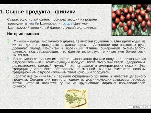 1. Сырье продукта - финики Сырье: золотистый финик, произрастающий на родине