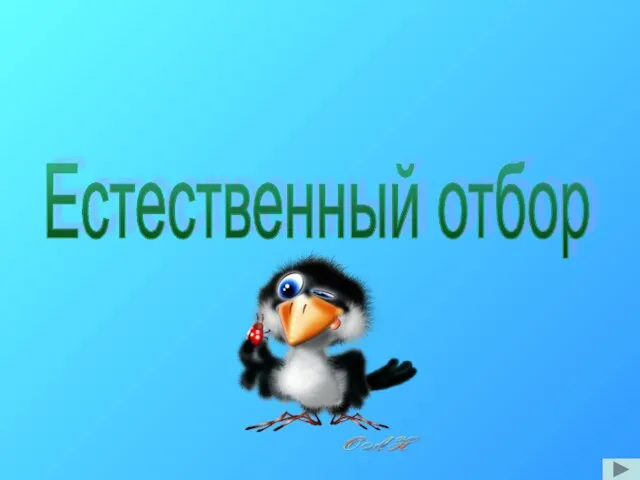 Естественный отбор