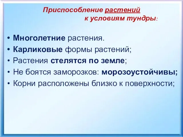 Приспособление растений к условиям тундры: Многолетние растения. Карликовые формы растений; Растения