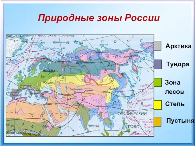 Природные зоны России