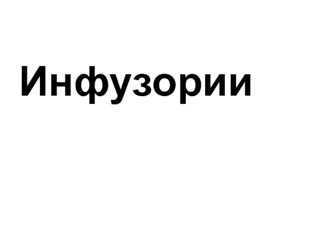 Инфузории