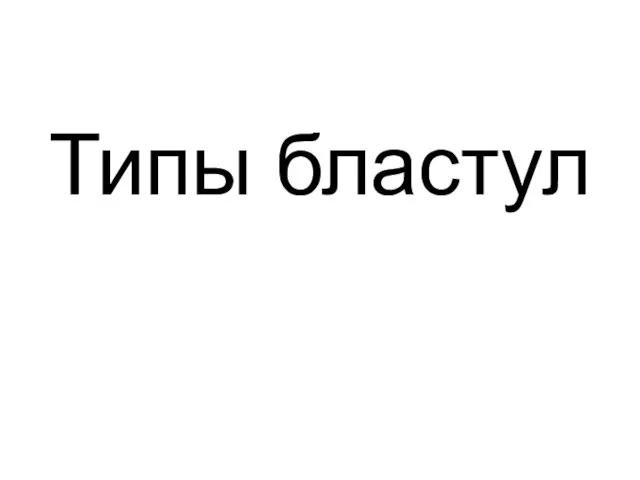 Типы бластул